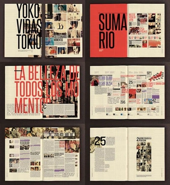 A cover of "intro to publication" cluster. The owner is hilarwee. The cluster consists of 22 elements.