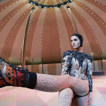 A cover of "circus" cluster. The owner is kepler. The cluster description is "a lot of fortune tellers, celestial women, clowns and jesters ". The cluster consists of 157 elements. 2 create it.