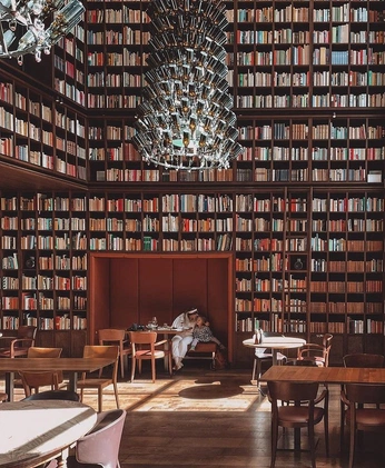 A cover of "Library Vibes" cluster. The owner is ucleecm. The cluster consists of 17 elements.