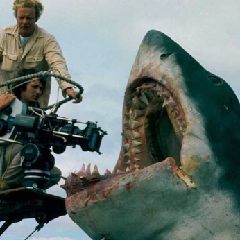 A cover of "on set" cluster. The owner is lefou. The cluster consists of 18 elements.