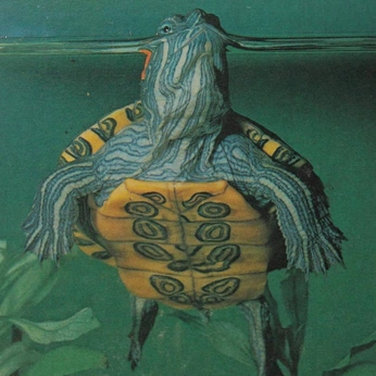 A cover of "i luv" cluster. The owner is mamamariana. The cluster consists of 10 elements.