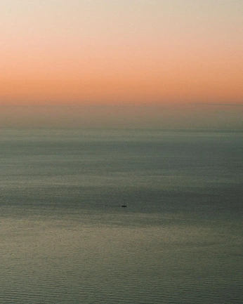 A cover of "week 9 visualization" cluster. The owner is ashnashahgrover. The cluster consists of 11 elements.