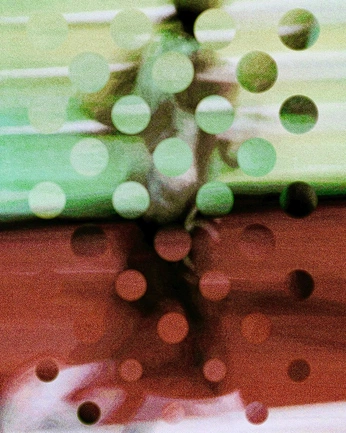 A cover of "Blind" cluster. The owner is carlydusty. The cluster consists of 12 elements.