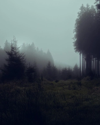 A cover of "darkness" cluster. The owner is emcheto. The cluster consists of 4 elements.