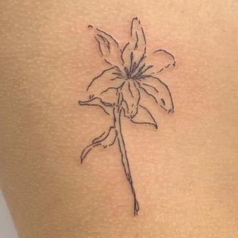 A cover of "Tatoo" cluster. The owner is walkalone. The cluster consists of 3 elements.