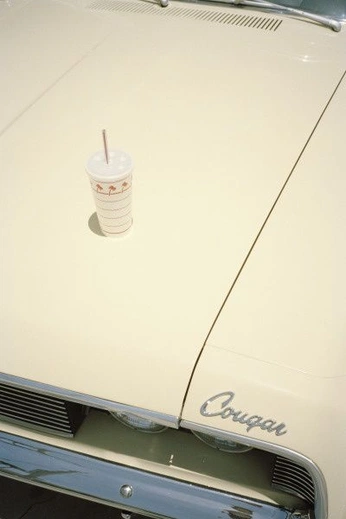 A cover of "Drive Thru" cluster. The owner is robertcorea. The cluster consists of 21 elements.