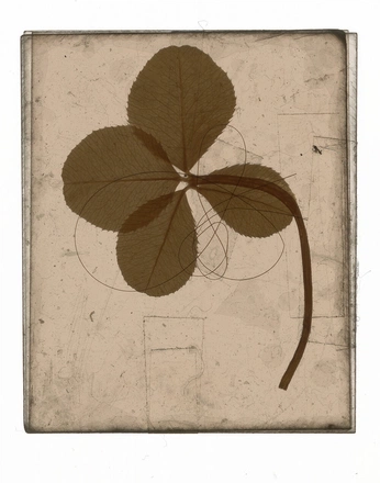 A cover of "Capstone" cluster. The owner is samiseiff. The cluster consists of 29 elements.