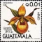 Cover of guatemala cluster