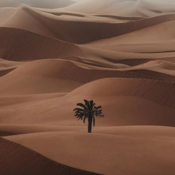 A cover of "Solivaga" cluster. The owner is scamassi. The cluster consists of 9 elements.