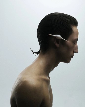 A cover of "阿信拍攝" cluster. The owner is peicreative. The cluster consists of 1 element.