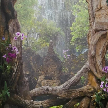 A cover of "wander/thailand" cluster. The owner is rai. The cluster consists of 29 elements.