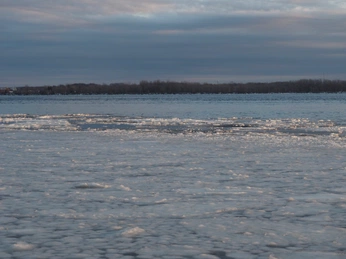 A cover of "Water" cluster. The owner is sarashi. The cluster consists of 5 elements.