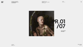 A cover of "worldwideweb" cluster. The owner is normanboetel. The cluster description is "inspo website ux/ui". The cluster consists of 5 elements.