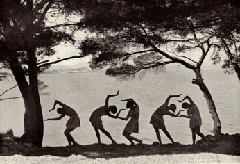 A cover of "The Dance" cluster. The owner is zabbs. The cluster consists of 5 elements.