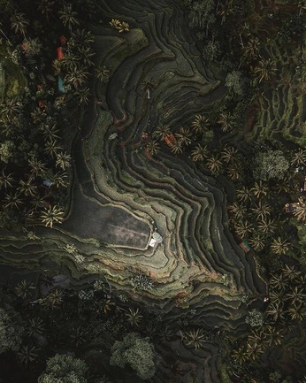 A cover of "Earth" cluster. The owner is programystic. The cluster consists of 1 element.