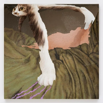 A cover of "Whymsycore porn" cluster. The owner is fmt99. The cluster consists of 133 elements.