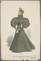 Cover of 1890 fashio... cluster