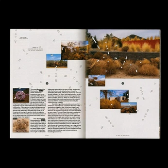 A cover of "memoire" cluster. The owner is nat.lvt. The cluster consists of 11 elements.