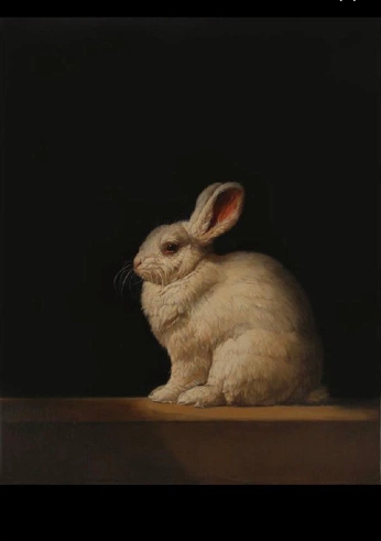 A cover of "Animals" cluster. The owner is teresanricci. The cluster consists of 29 elements.