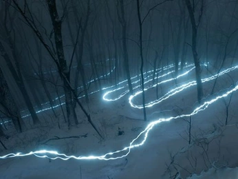 A cover of "long" cluster. The owner is fbizz. The cluster consists of 1 element.