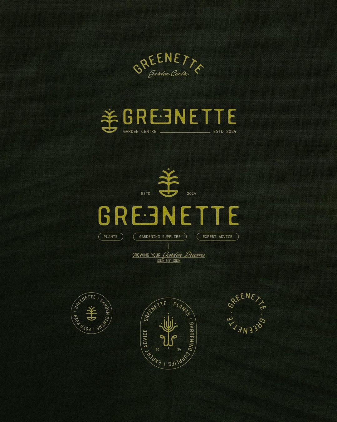 An Instagram carousel post added by 6 on Oct 31, 2024. The author is @designerbriefs.