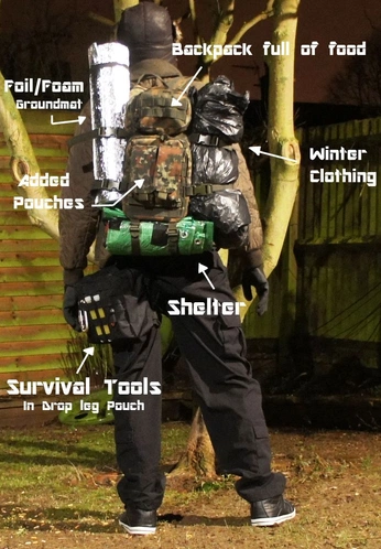 A cover of "character design inspo" cluster. The owner is catpng9. The cluster consists of 5 elements.