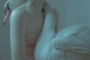 A cover of "🧚🏻‍♀️" cluster. The owner is zeynepa. The cluster consists of 15 elements.