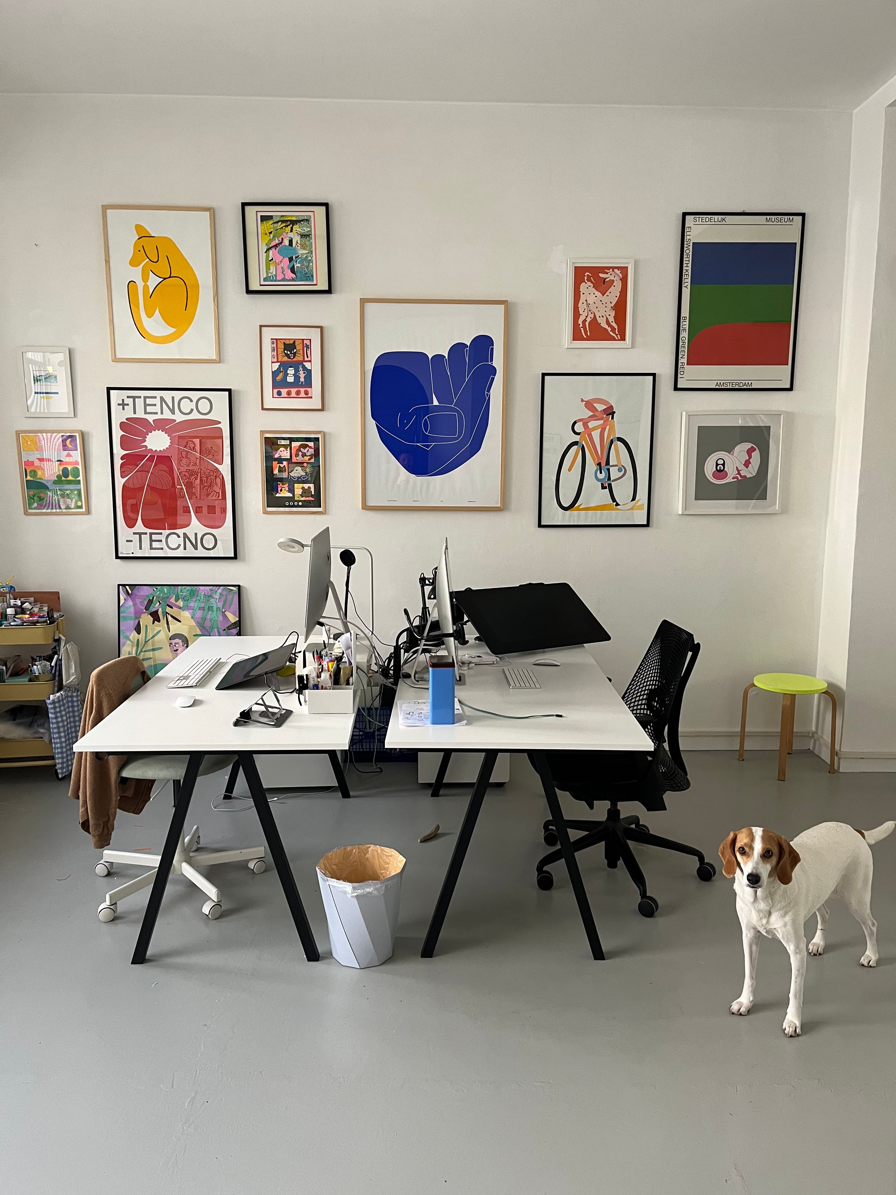 An image added by rabbit on Jan 30, 2025. May present: danish swedish farmdog, toy fox terrier, jack russell terrier, parson russell terrier, miniature fox terrier.