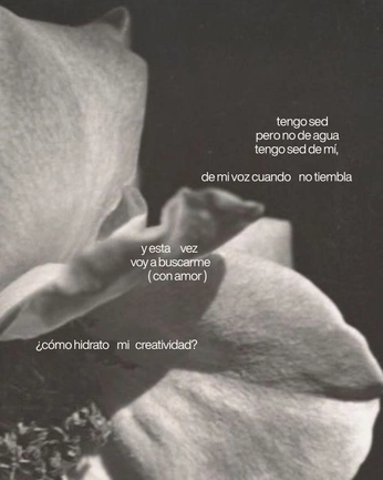 A cover of "Terapia" cluster. The owner is sandradominguezg. The cluster consists of 6 elements.