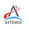 Cover of Artemis cluster