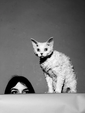 A cover of "Jaguar" cluster. The owner is bobsnotcutt. The cluster consists of 1 element.