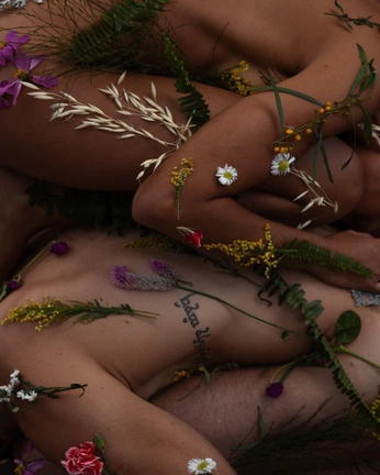 A cover of "Queer Ecology" cluster. The owner is seaniejax. The cluster consists of 29 elements.