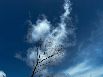 A cover of "Midwest" cluster. The owner is paintmeseagirl. The cluster consists of 4 elements.