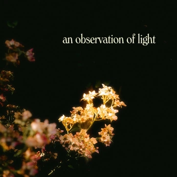 A cover of "Ethereal Vividry" cluster. The owner is pjs. The cluster consists of 454 elements.