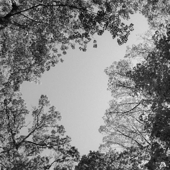 A cover of "2025_EM" cluster. The owner is emgmerritt. The cluster consists of 33 elements.