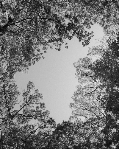 An Instagram carousel post added by aethereal.itf on Jun 05, 2024. The author is @atmos.