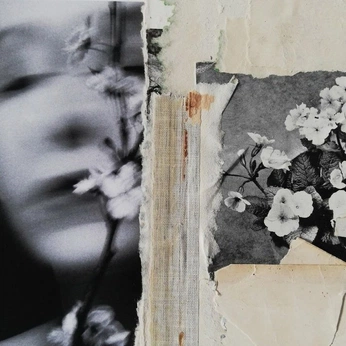 A cover of "Frank Bach" cluster. The owner is benten. The cluster consists of 20 elements.