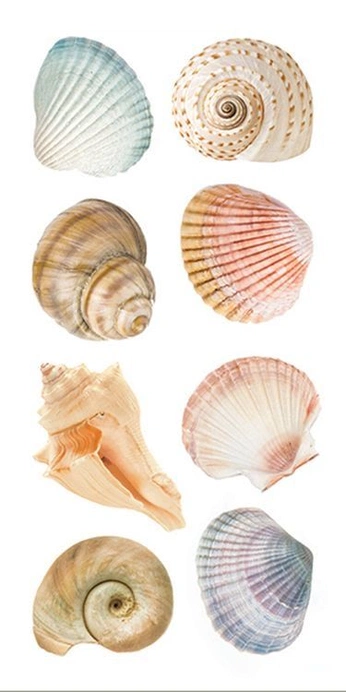 A cover of "summer tattoos" cluster. The owner is ahhhleennnaaaaah. The cluster consists of 7 elements.