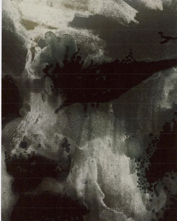 A cover of "textures" cluster. The owner is jeeves. The cluster consists of 4 elements.