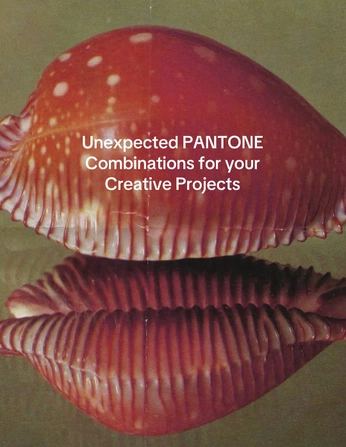 A cover of "imd possibilities" cluster. The owner is paulinemarcelin. The cluster consists of 5 elements.