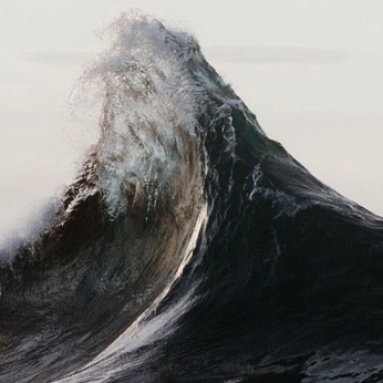 A cover of "Ocean" cluster. The owner is niklaus. The cluster consists of 232 elements.