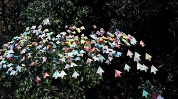 A cover of "AI" cluster. The owner is gilgamesh. The cluster consists of 2 elements.