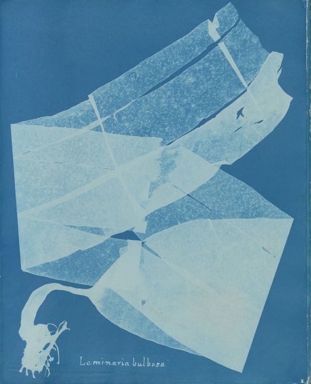 An Instagram carousel post added by ch1p666 on Mar 17, 2025. The author is @publicdomainrev.