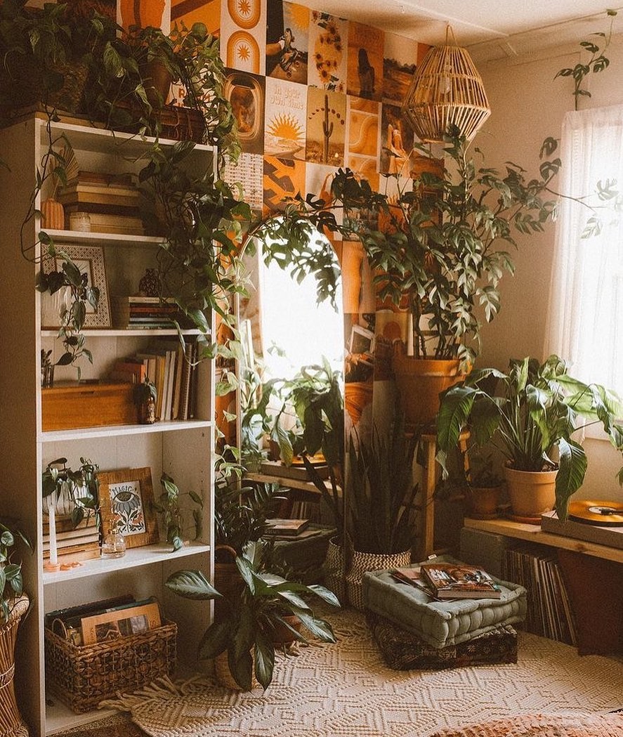 Intérieur de maison cosy avec des plantes et une ambiance esthétique.