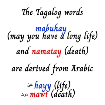 A cover of "parafraseamento" cluster. The owner is youknowme. The cluster consists of 2 elements.