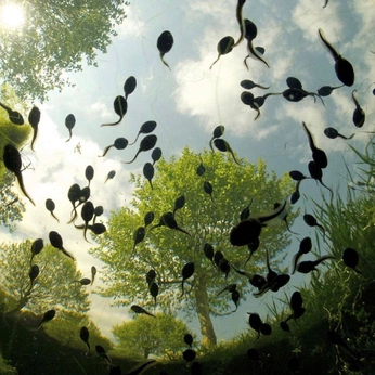 A cover of "colour" cluster. The owner is mills. The cluster consists of 14 elements.