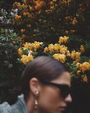 A cover of "mov merch" cluster. The owner is nelo01. The cluster consists of 1 element.