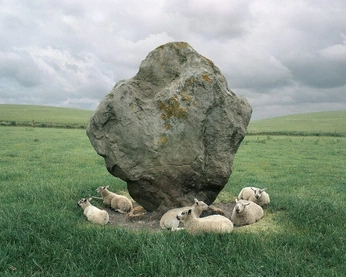 A cover of "moodboard #1" cluster. The owner is teathefae. The cluster consists of 49 elements.