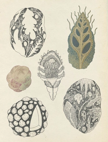 A cover of "Editorial NxYs" cluster. The owner is interz. The cluster consists of 177 elements.