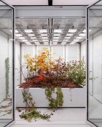 A cover of "tratamento simbiosis" cluster. The owner is nunedesign. The cluster consists of 3 elements.